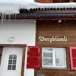 Engel Ingold Bärgblümli Chalet Habkern