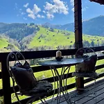 Chalet Engel Ingold Bärgblümli *