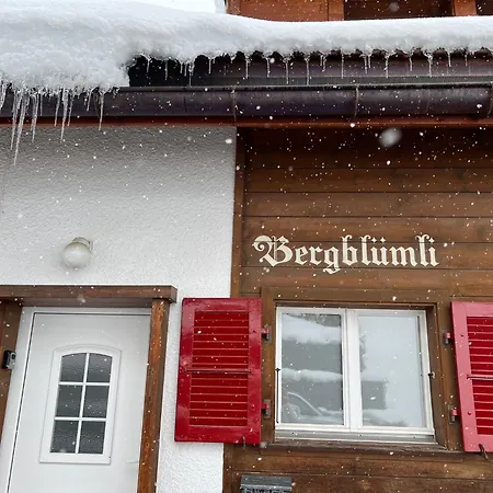 Engel Ingold Bärgblümli Chalet Habkern