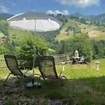 Alpehytte Engel Ingold Bärgblümli