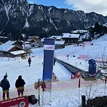 Engel Ingold Bärgblümli