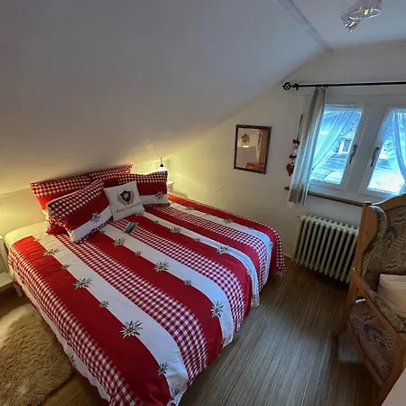 Engel Ingold Bärgblümli