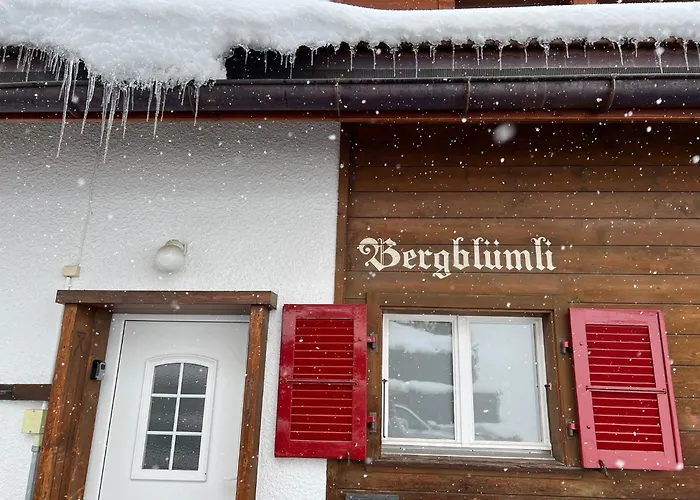 Engel Ingold Bärgblümli Chalet Habkern
