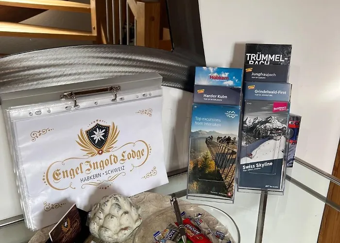 Chalet Engel Ingold Bärgblümli