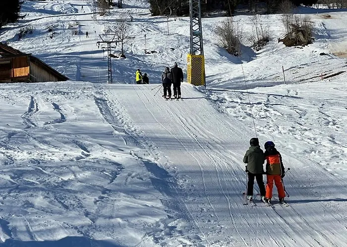 Engel Ingold Bärgblümli * Habkern